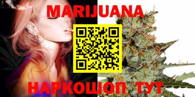 сатива Малгобек