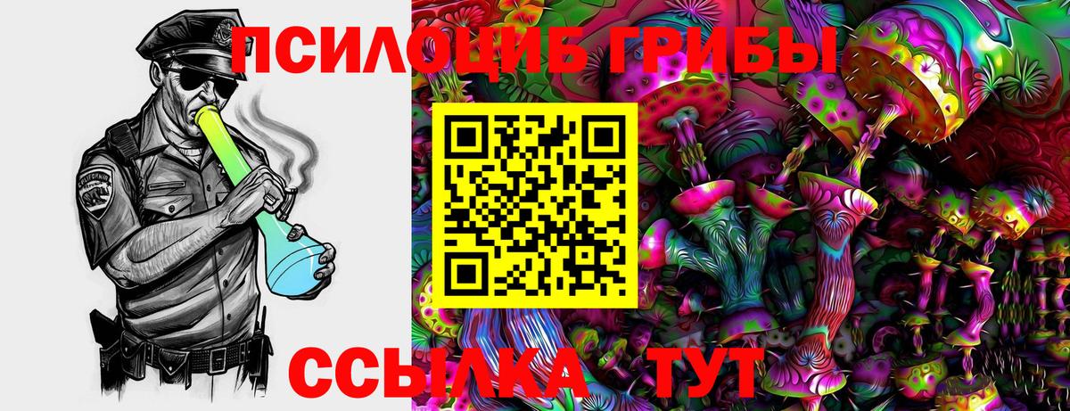 Галлюциногенные грибы Psilocybine cubensis  Вход с VPN  Воткинск 