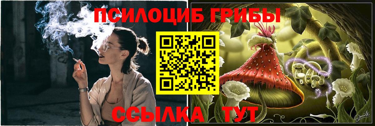 Псилоцибиновые грибы Psilocybe Воткинск